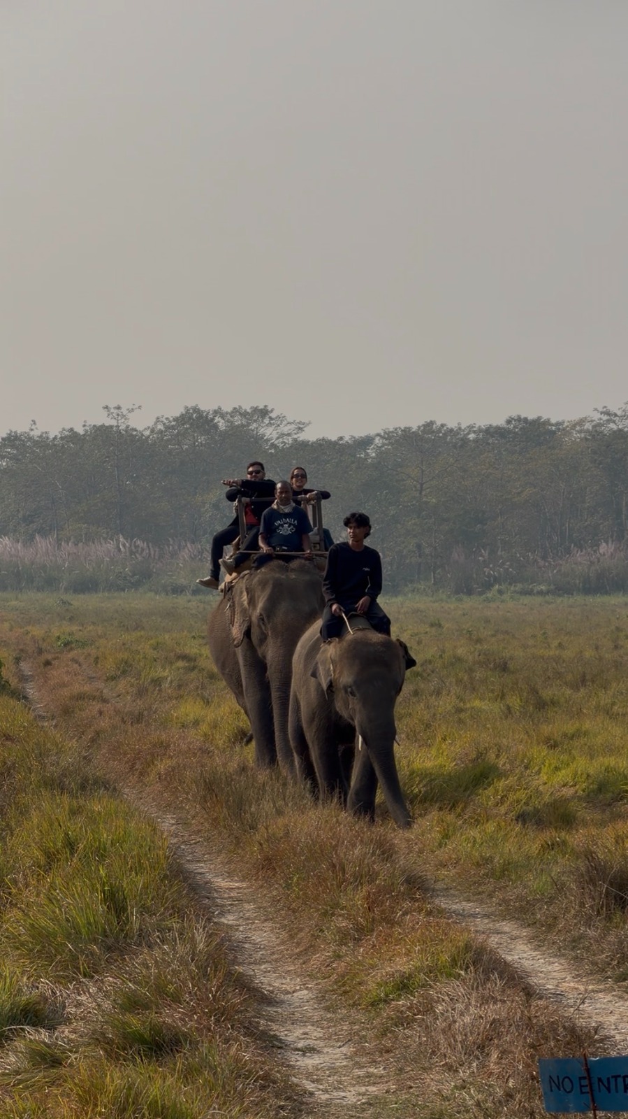 Elephant Ride