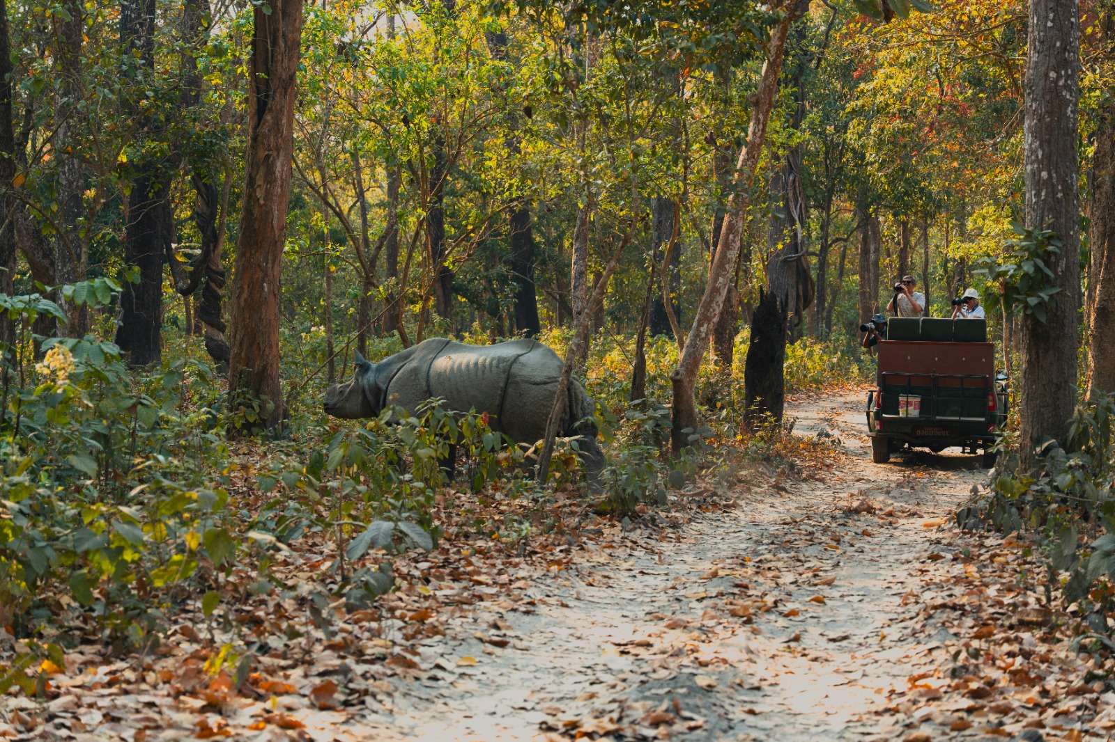Jeep Safari