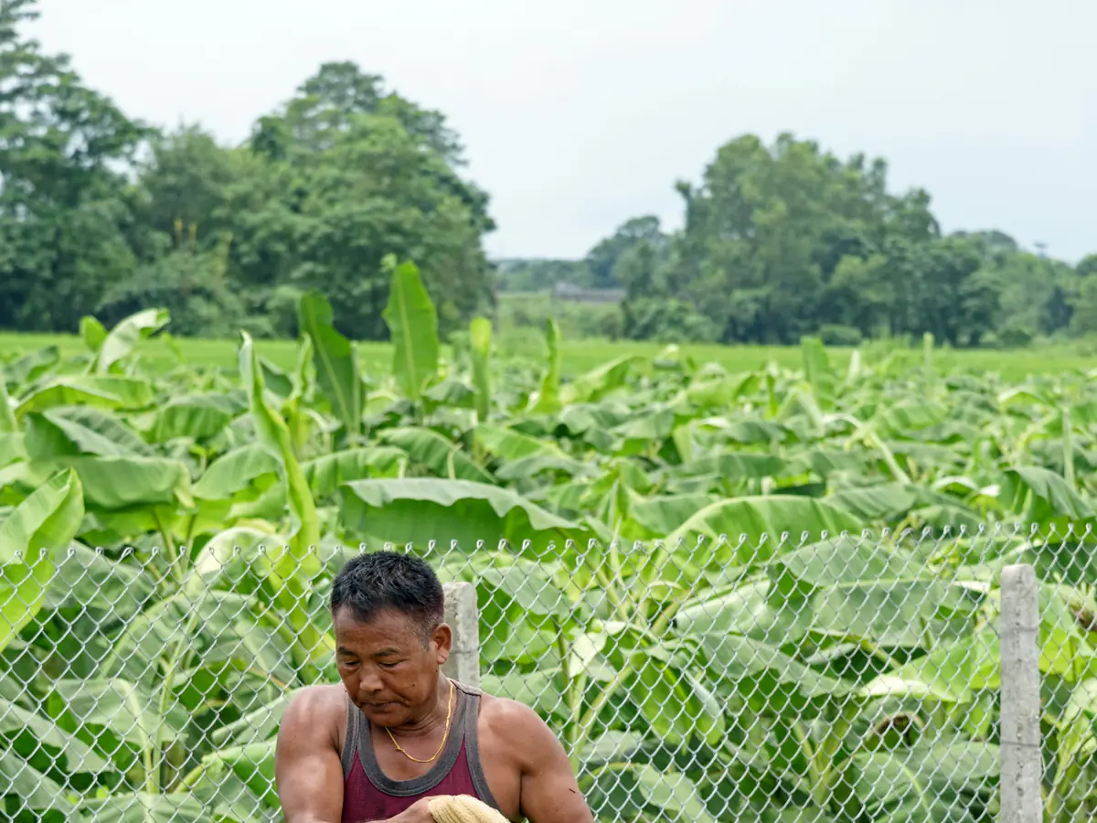 Farm