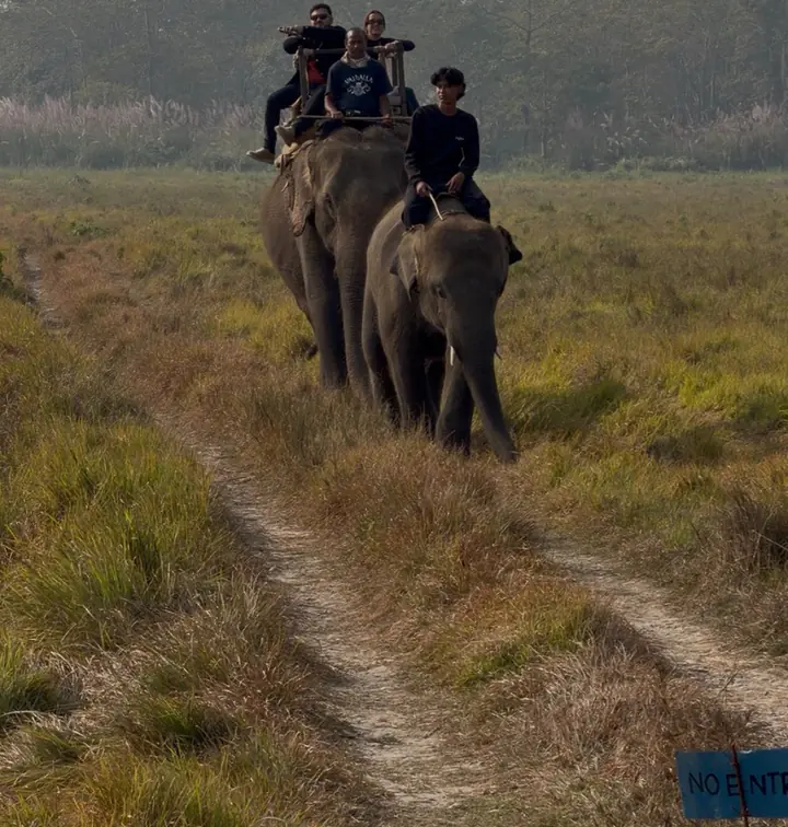 Elephant Ride — Three Nights Four Days package