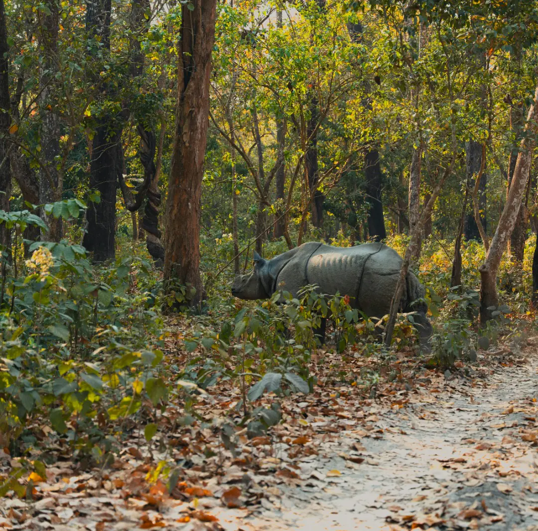 Jeep Safari — One Night Two Days package